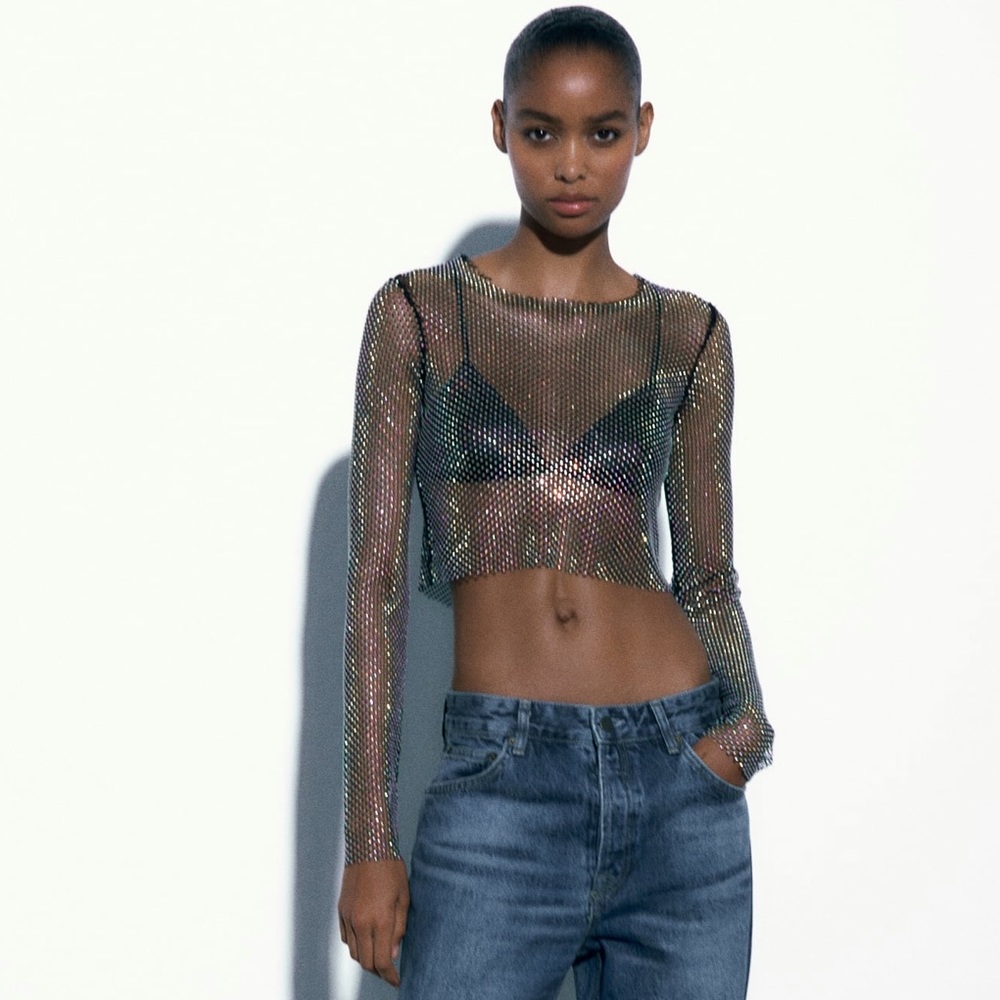 Zara SHIMMER MESH CROP TOP